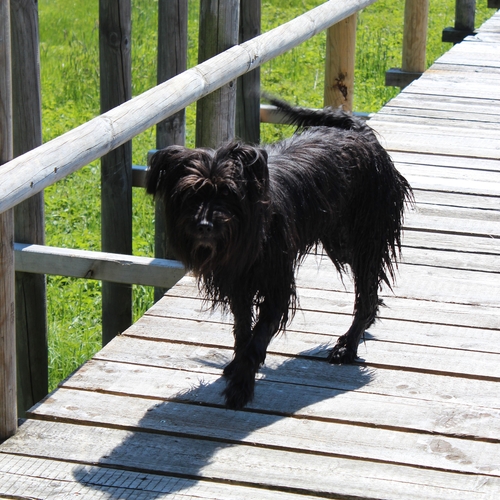 Ausflug im Mai 2016 (6)